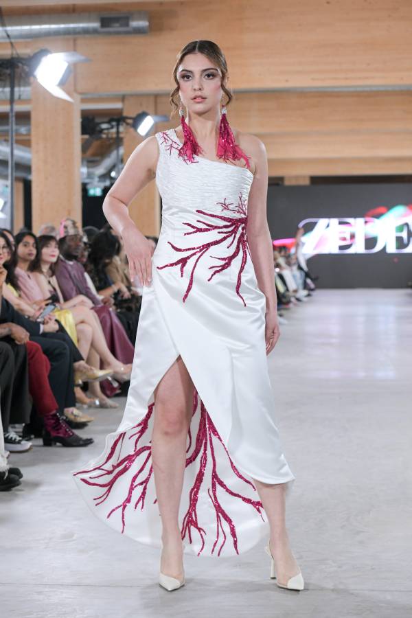 Lily zedes fashion