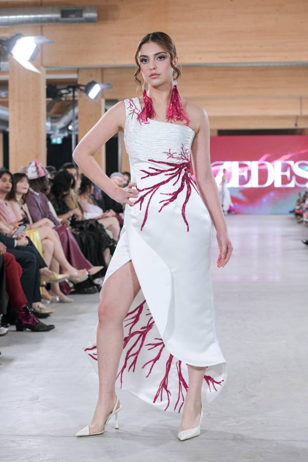 Lily zedes fashion